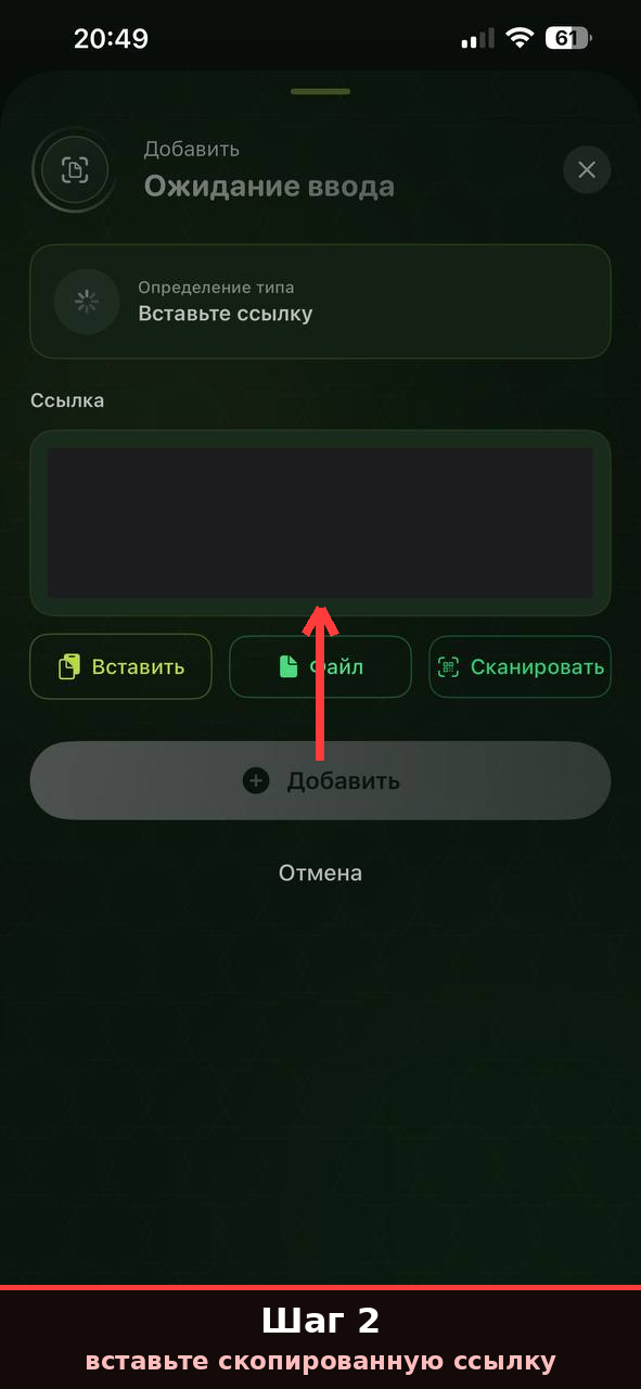 Шаг 2 — вставьте ссылку